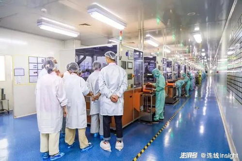 業(yè)績向好，股價卻下跌 新消費(fèi)‘第一股’們怎么了？